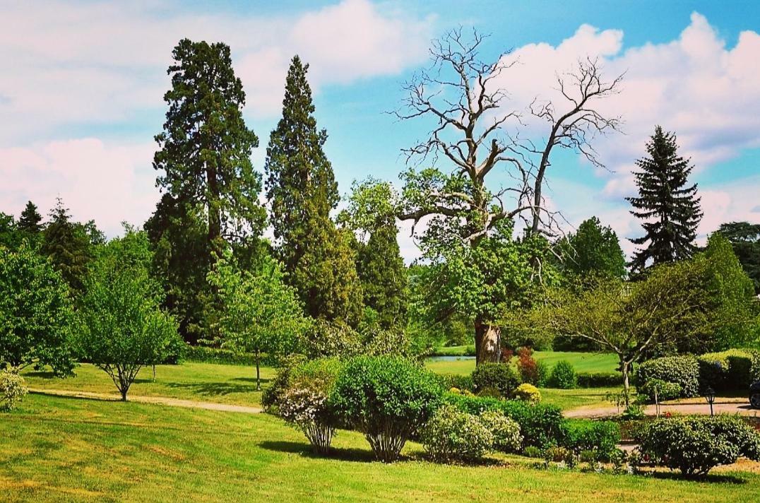 Chateau D'Ardree Bed and Breakfast Saint-Antoine-du-Rocher Eksteriør billede